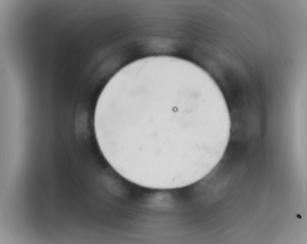 X0000115360162200911101204