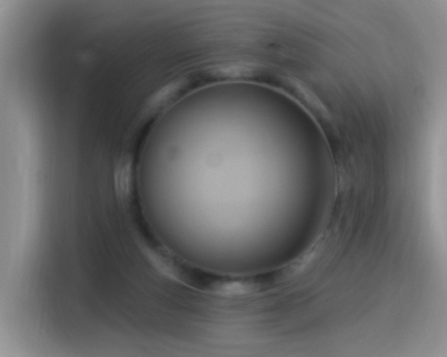 X0000115360163200911101204