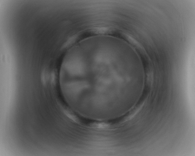 X0000115360165200911101204