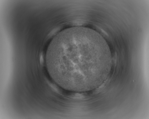 X0000115360166200911101204