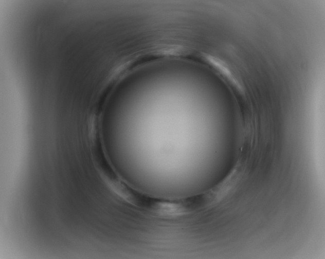 X0000115360167200911101204