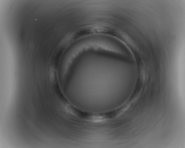 X0000115360169200911101204