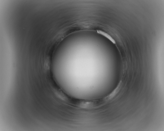 X0000115360174200911101204