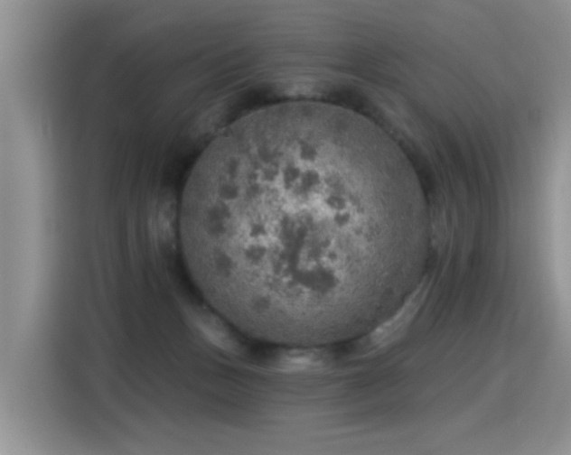 X0000115360175200911101204