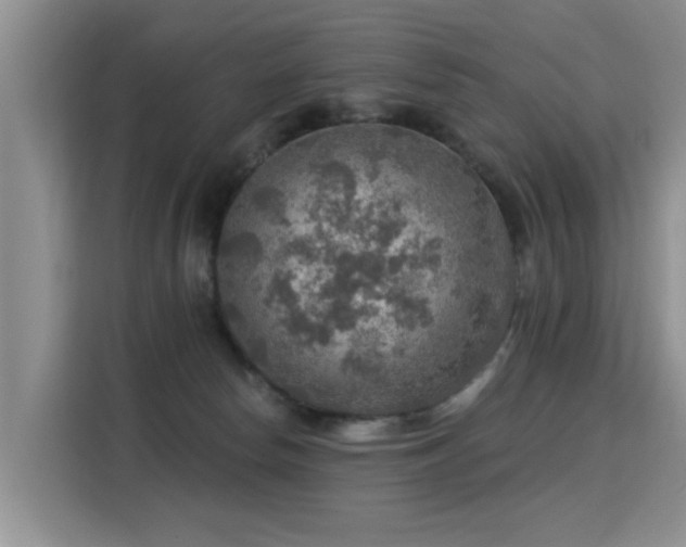 X0000115360178200911101204