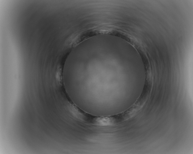 X0000115360181200911101204