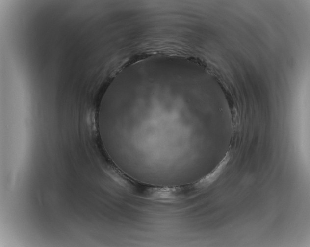 X0000115360182200911101204