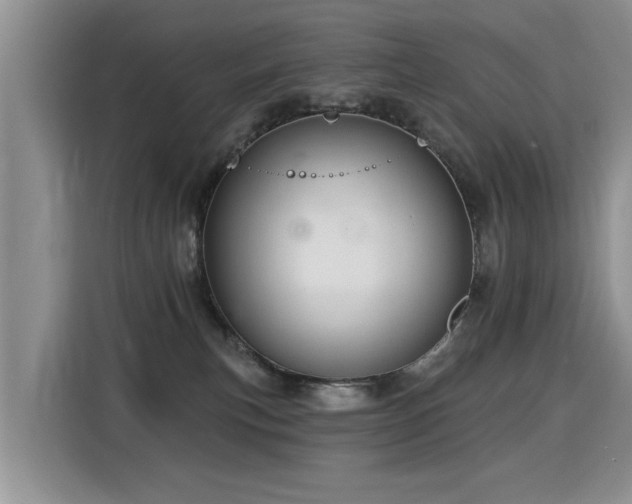 X0000115360183200911101204