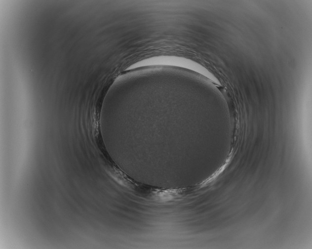 X0000115360186200911101204