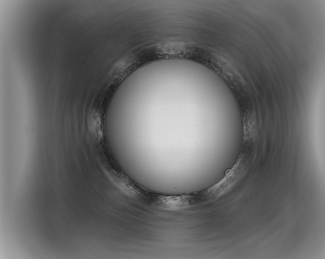 X0000115360187200911101204