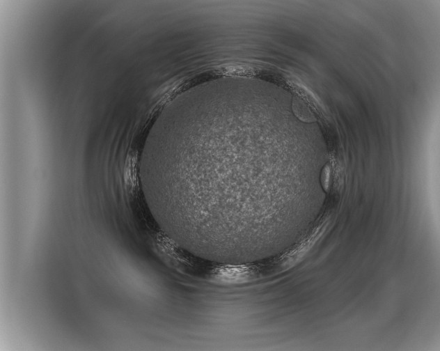 X0000115360189200911101204