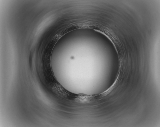 X0000115360190200911101204