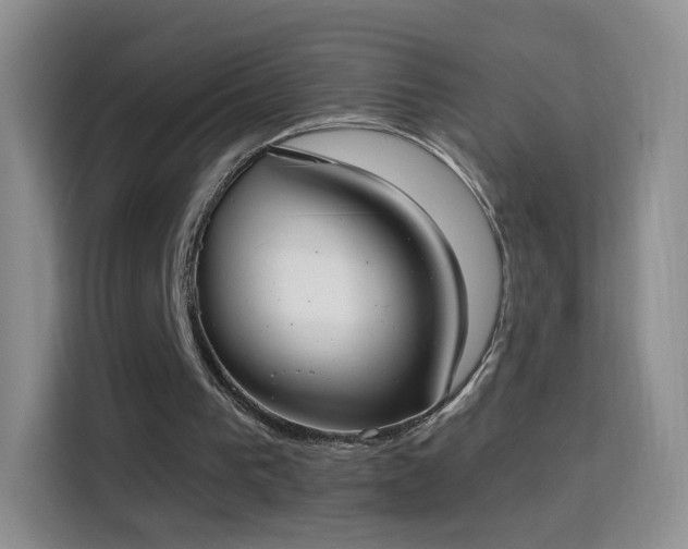 X0000115360193200911101203