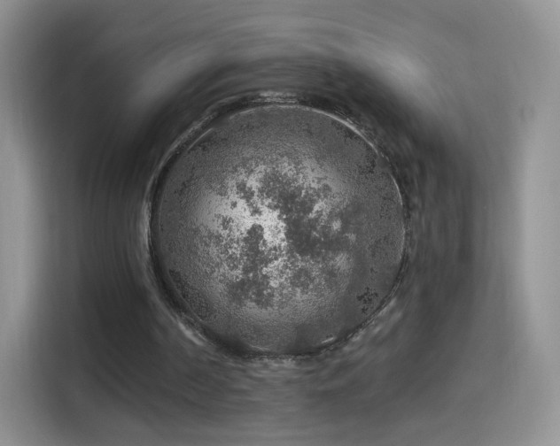 X0000115360194200911101203