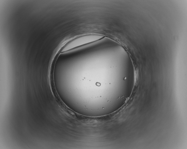 X0000115360195200911101203