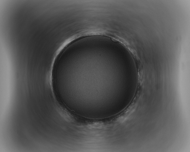 X0000115360196200911101203