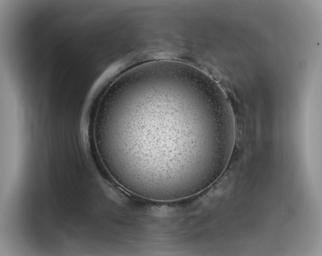 X0000115360197200911101203