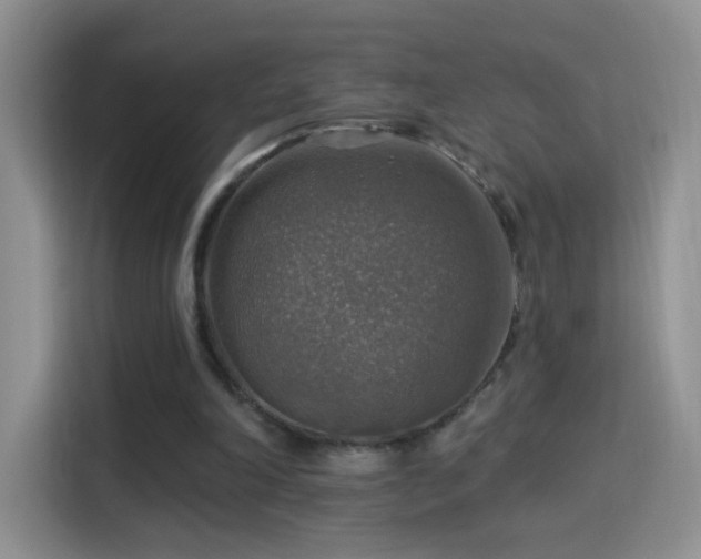X0000115360198200911101203