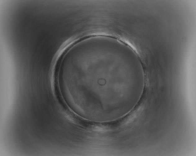 X0000115360199200911101203