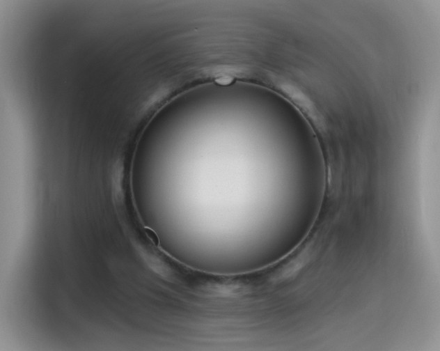 X0000115360201200911101203