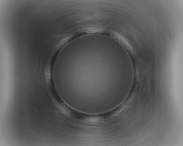 X0000115360202200911101203