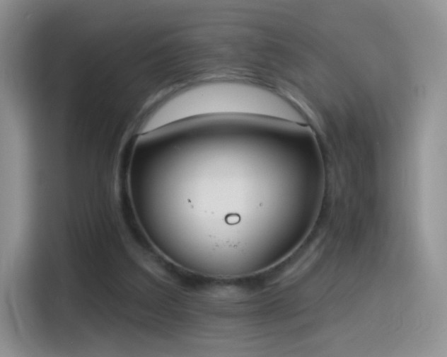 X0000115360203200911101203