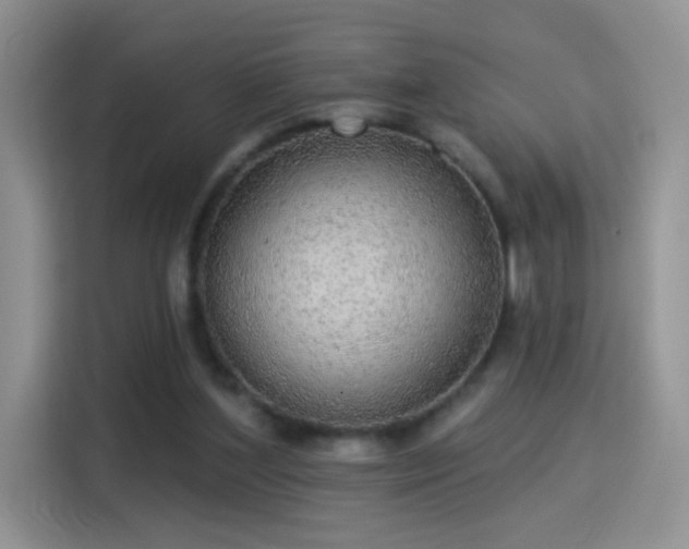 X0000115360204200911101203
