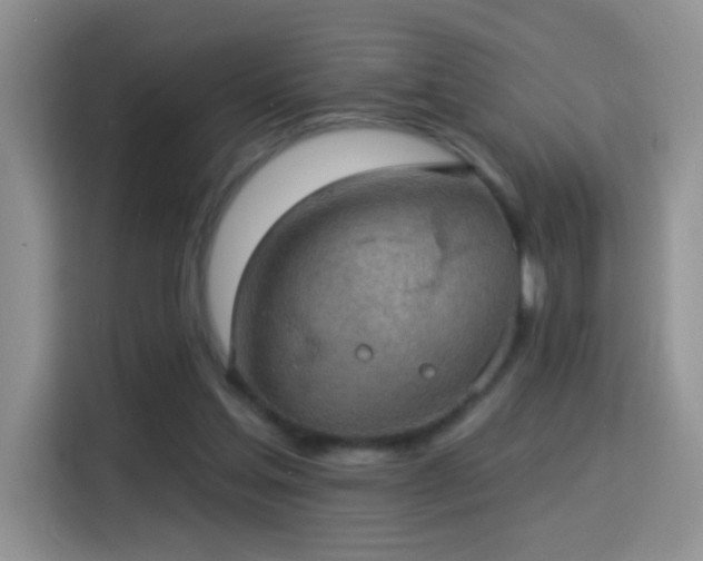 X0000115360205200911101203