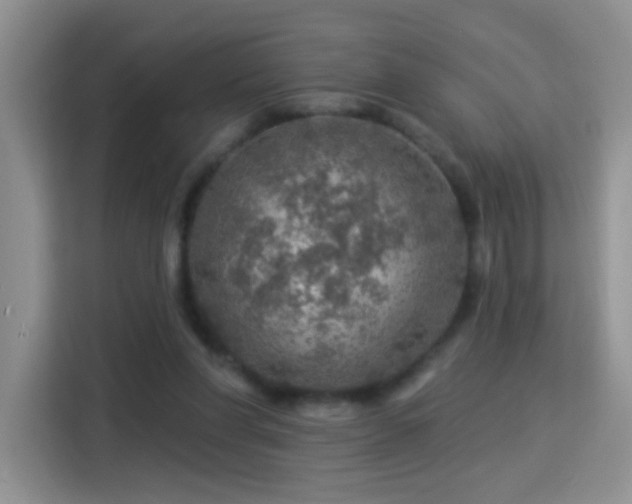 X0000115360206200911101203