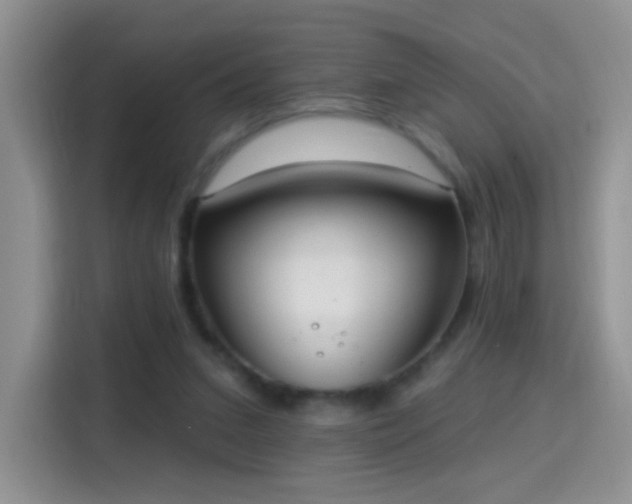 X0000115360207200911101203
