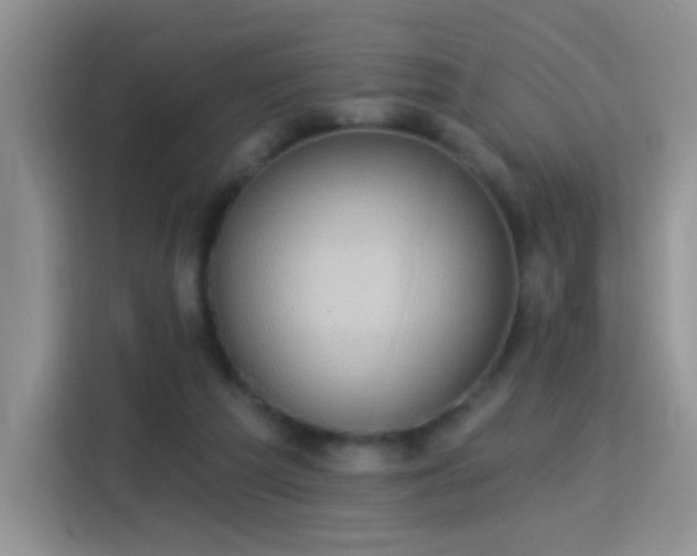X0000115360209200911101203