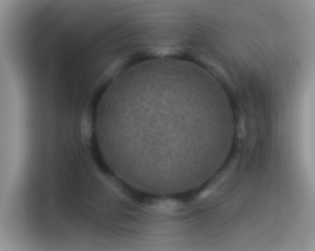 X0000115360210200911101203