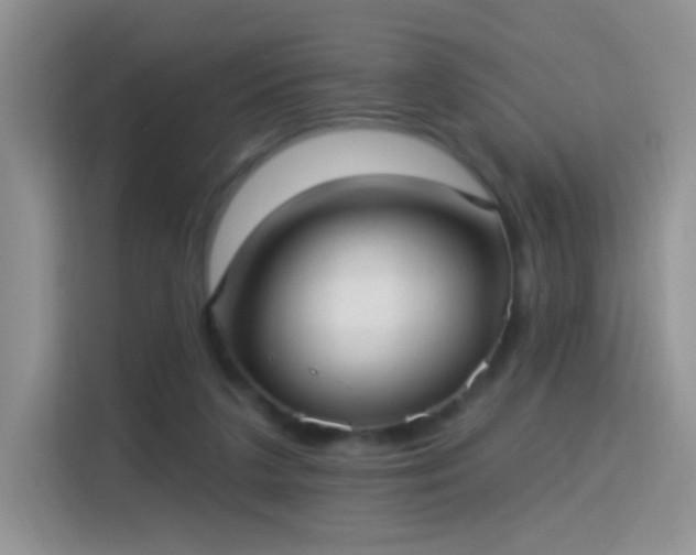 X0000115360211200911101203