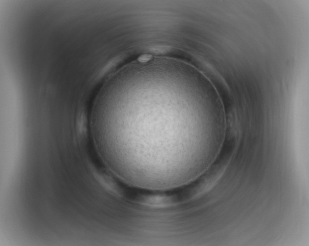 X0000115360212200911101203