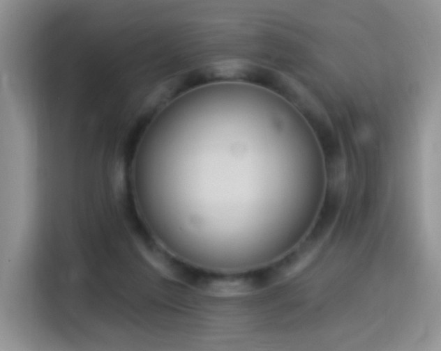 X0000115360213200911101203