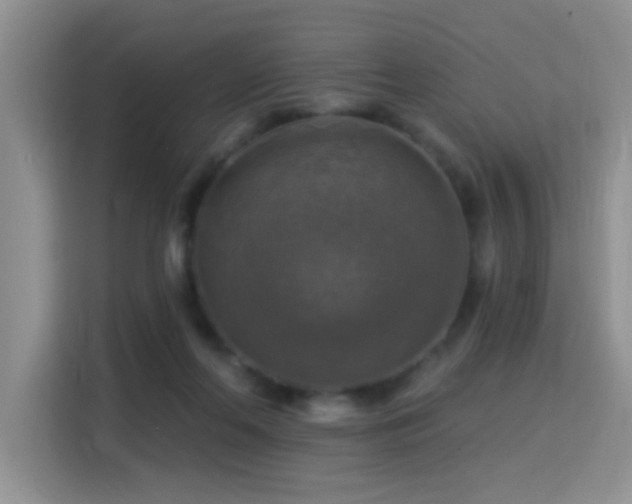 X0000115360214200911101203