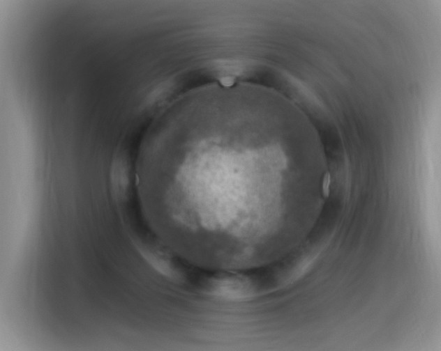 X0000115360215200911101203