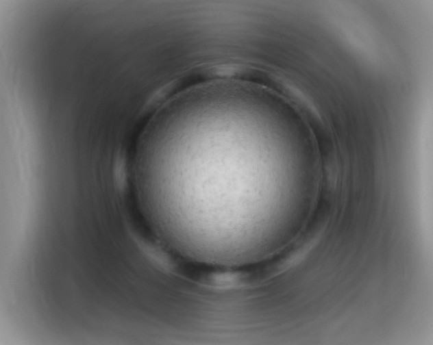 X0000115360216200911101203