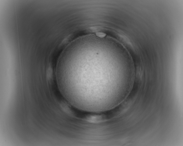 X0000115360220200911101203