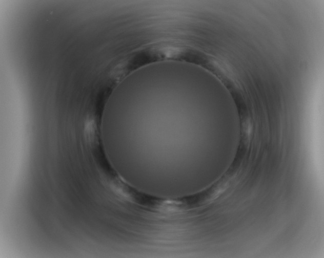 X0000115360222200911101203