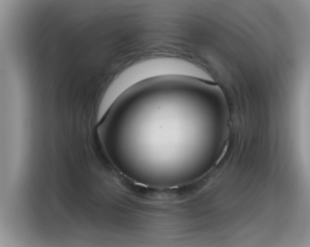 X0000115360223200911101203