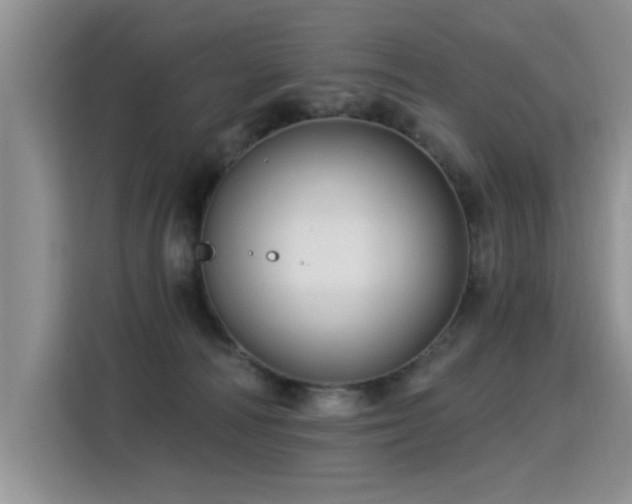 X0000115360226200911101203