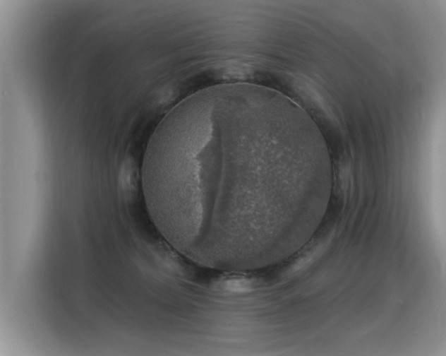 X0000115360228200911101203
