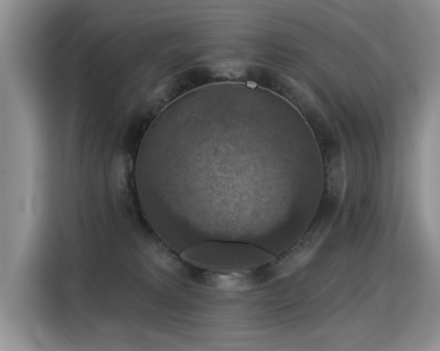 X0000115360229200911101203