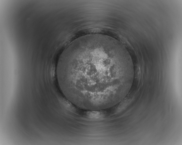 X0000115360230200911101203
