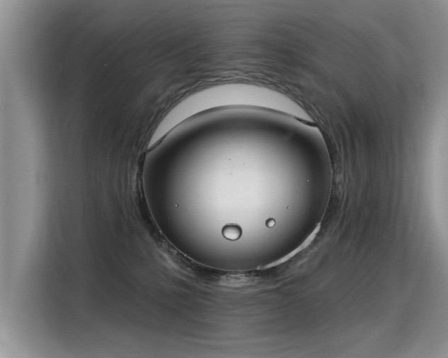 X0000115360231200911101203