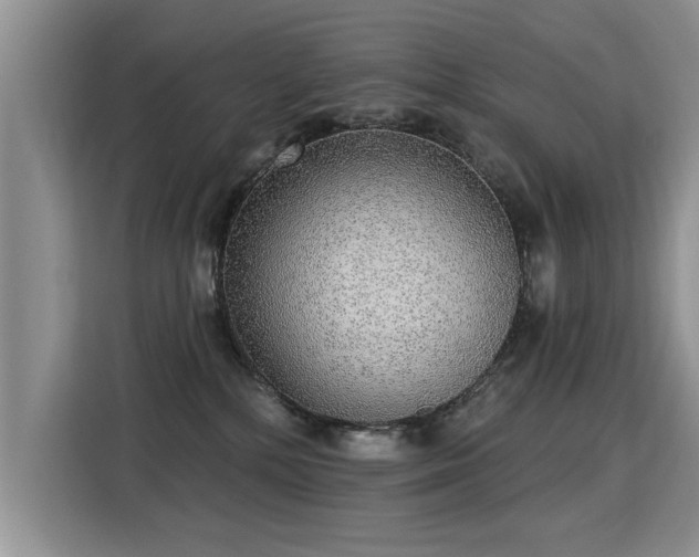 X0000115360232200911101203