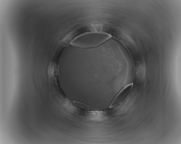 X0000115360233200911101203