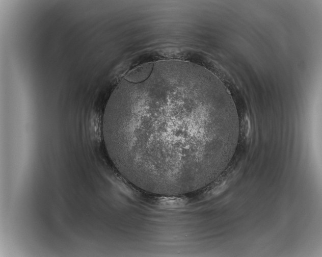 X0000115360234200911101203