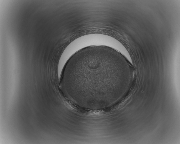 X0000115360235200911101203